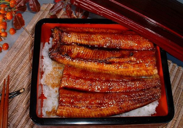 鰻魚的營(yíng)養(yǎng)價(jià)值和功效